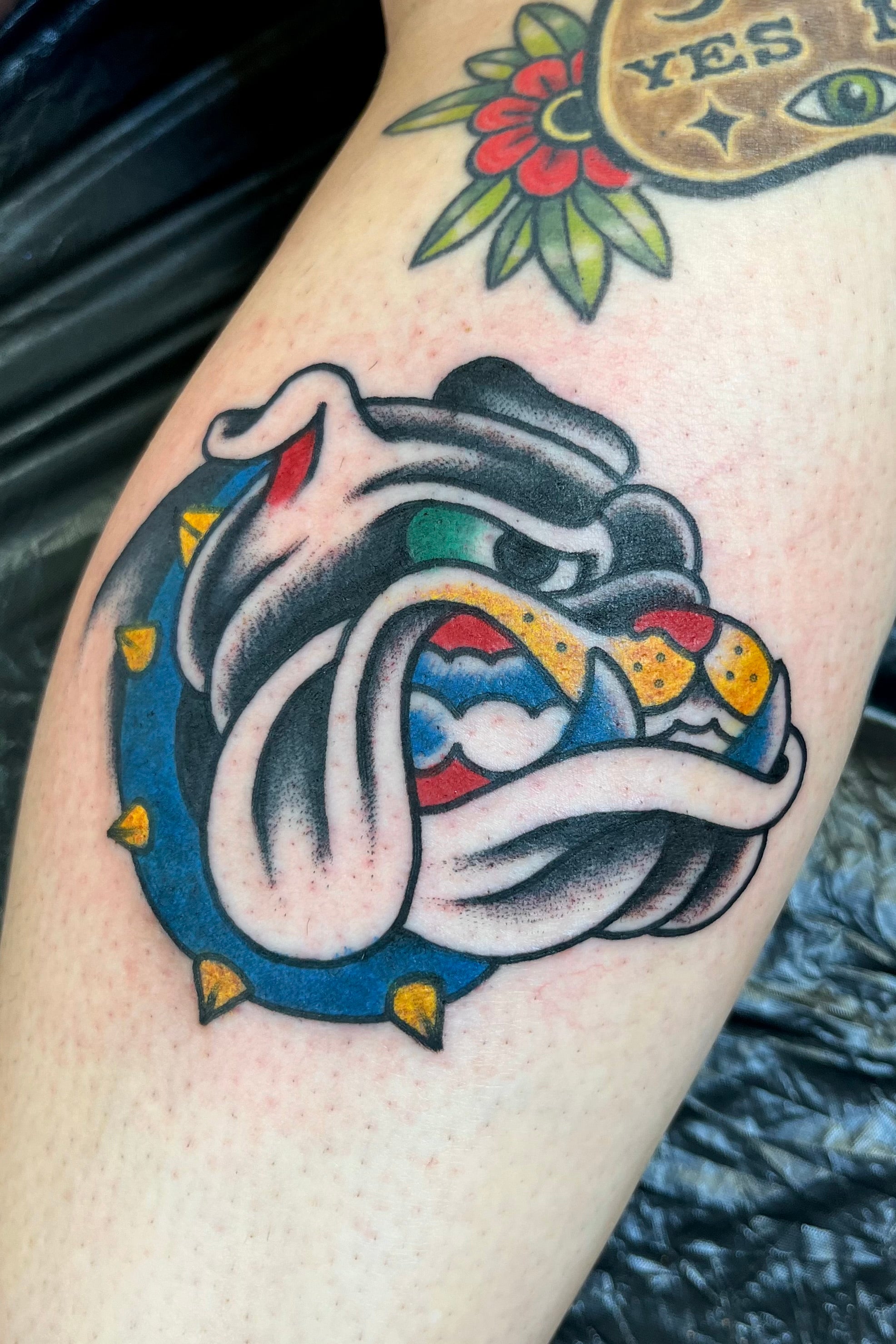 Bold American traditional classic Bulldog tattoo on arm in bright colours. Tattooed in London at frith street tattoo