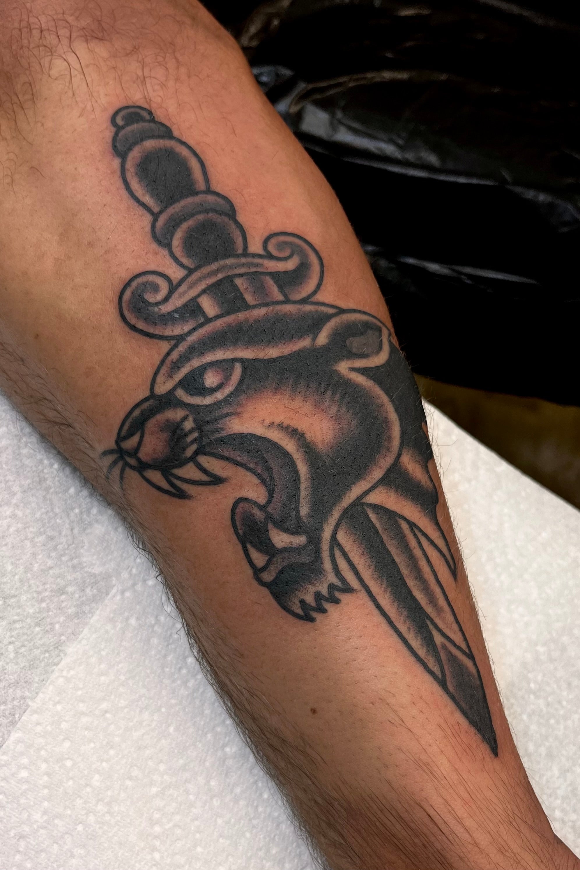 Bold American traditional classic black and grey panther head tattoo with dagger on forearm. Tattooed in London