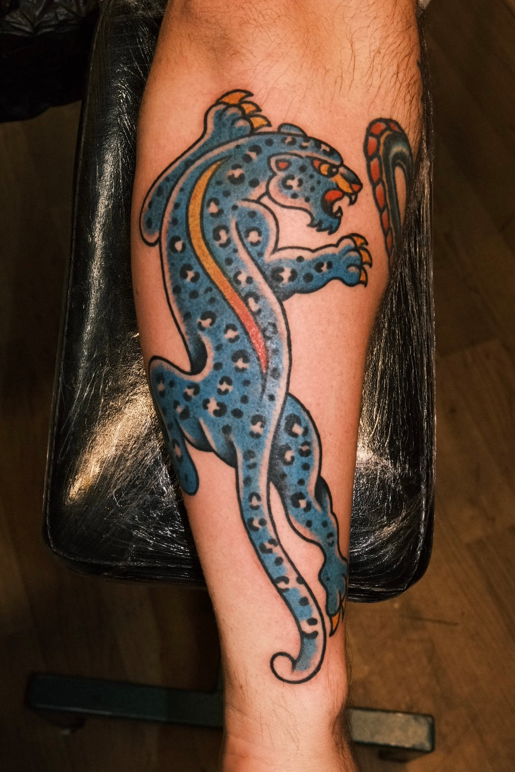 An american traditional blue crawling leopard tattoo in full colour.