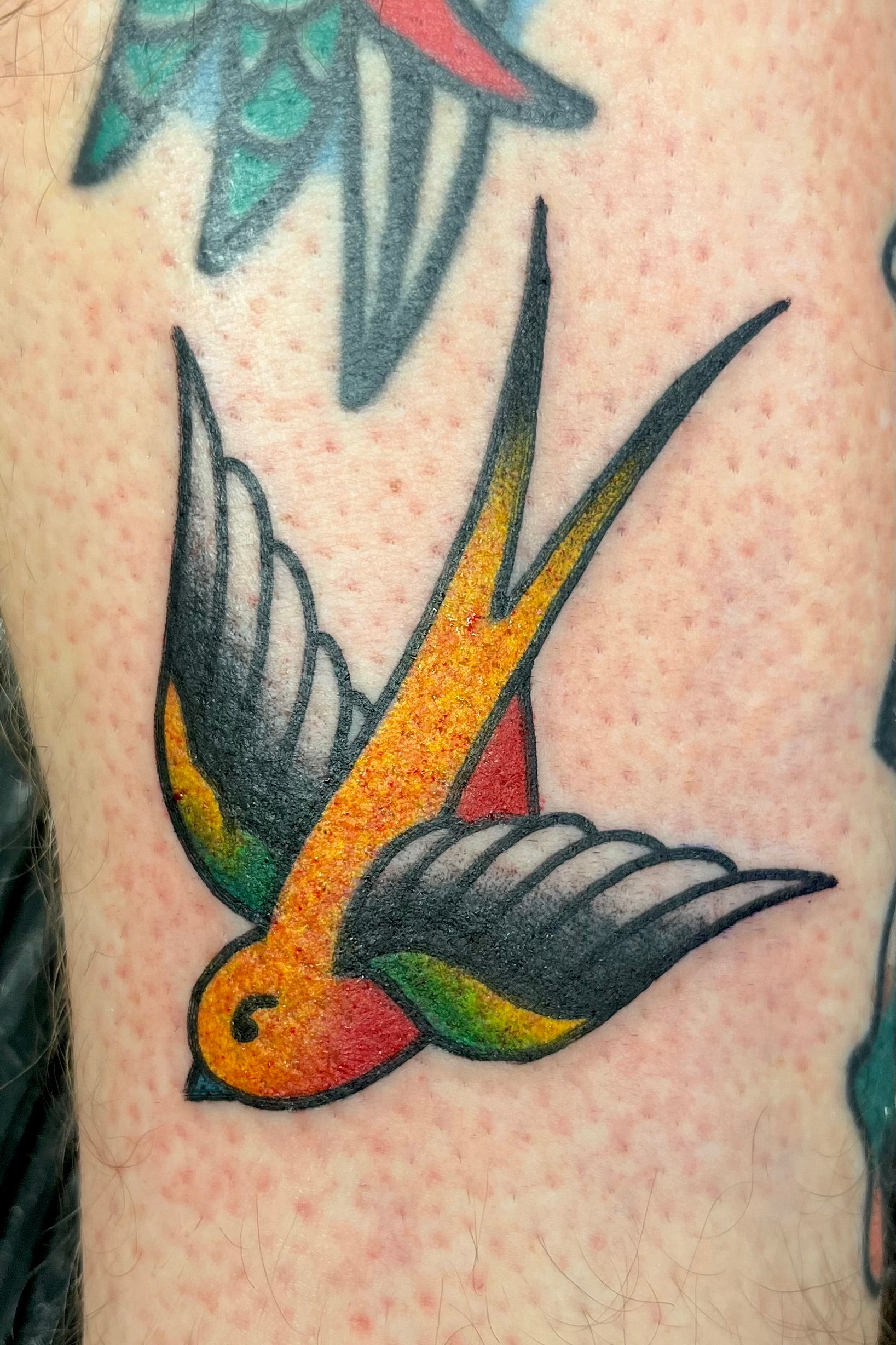 bold american traditional full colour swallow tattoo, tattooed in london at frith street tattoo